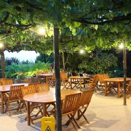 Otel Babylon Gardens Apart *